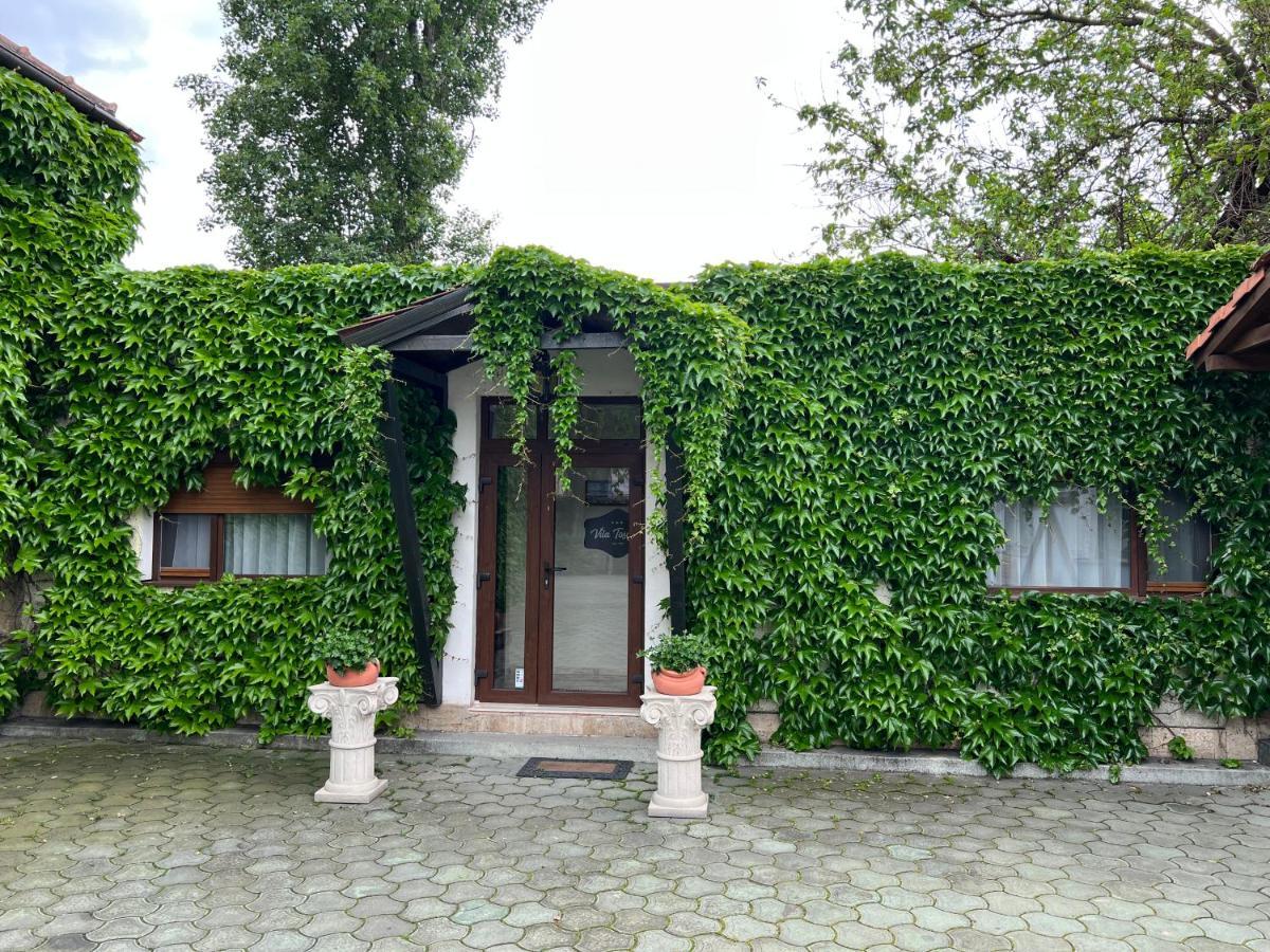 Hotel Larissa Timisoara